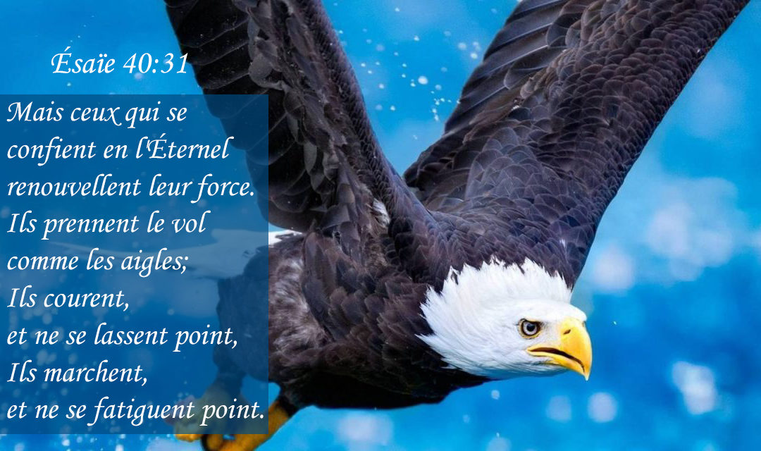 Ésaïe 40:31
