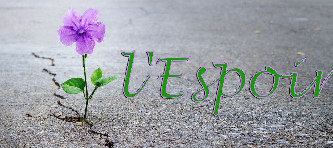 Vous devez avoir de l’espoir pour vous en sortir – Cinquième partie