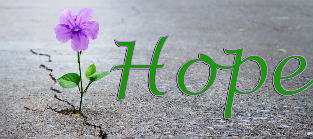 You Have to Have Hope to Cope – Part Five