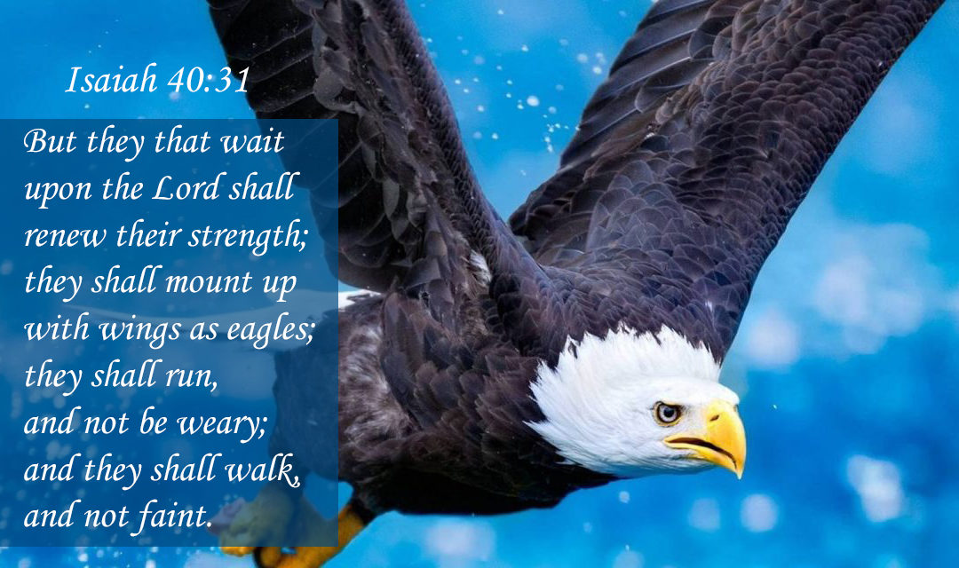 Isaiah 40:31