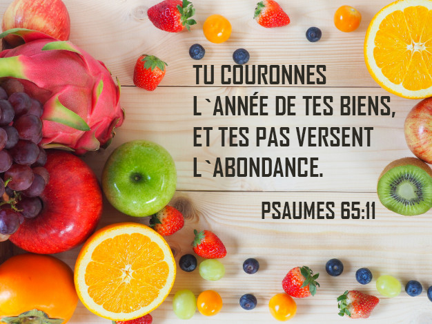 Psaumes 65:11